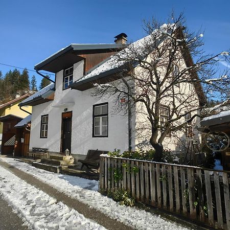 Hisa Hortenzija Luče Exteriér fotografie