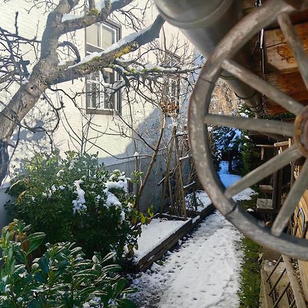 Hisa Hortenzija Luče Exteriér fotografie