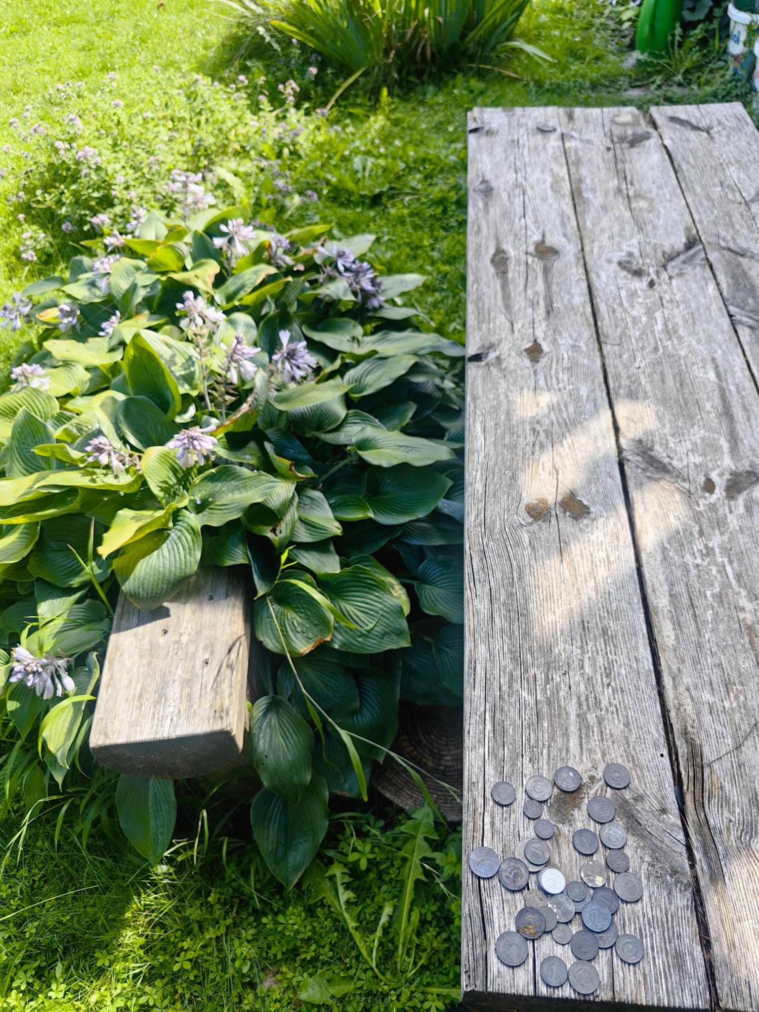Hisa Hortenzija Luče Exteriér fotografie