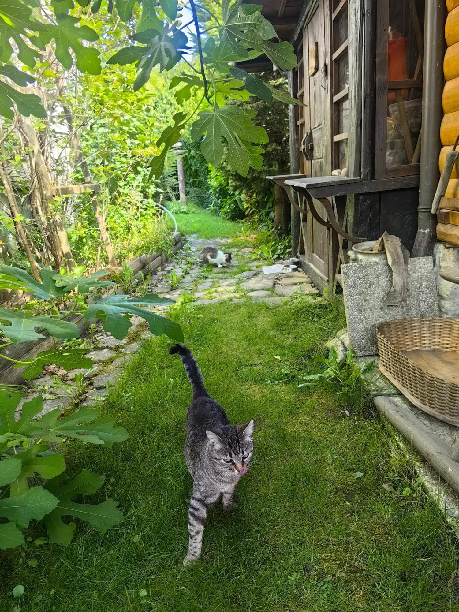 Hisa Hortenzija Luče Exteriér fotografie