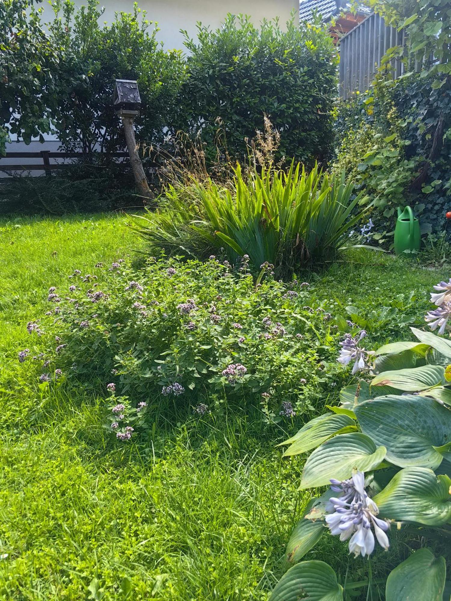 Hisa Hortenzija Luče Exteriér fotografie