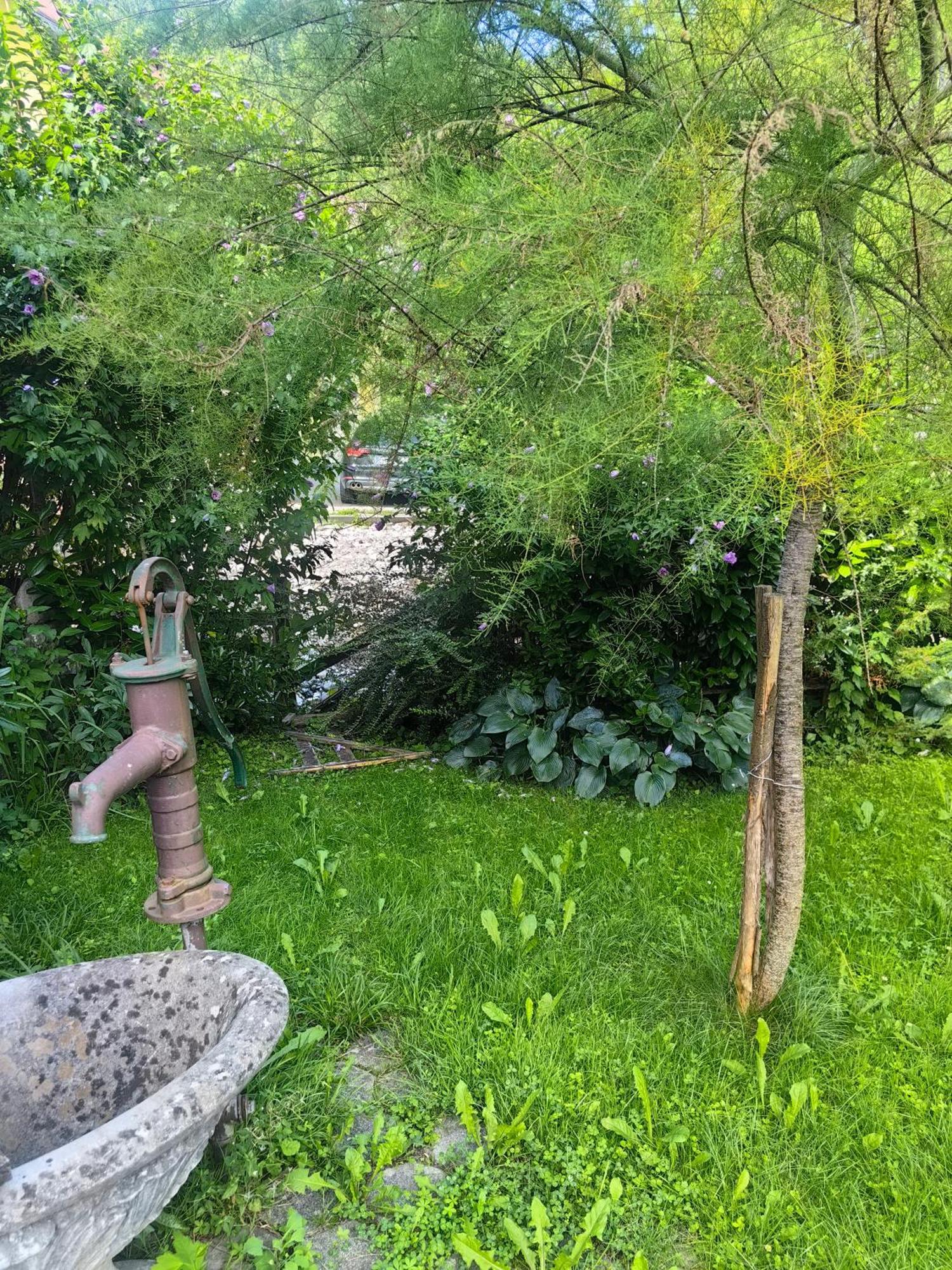 Hisa Hortenzija Luče Exteriér fotografie