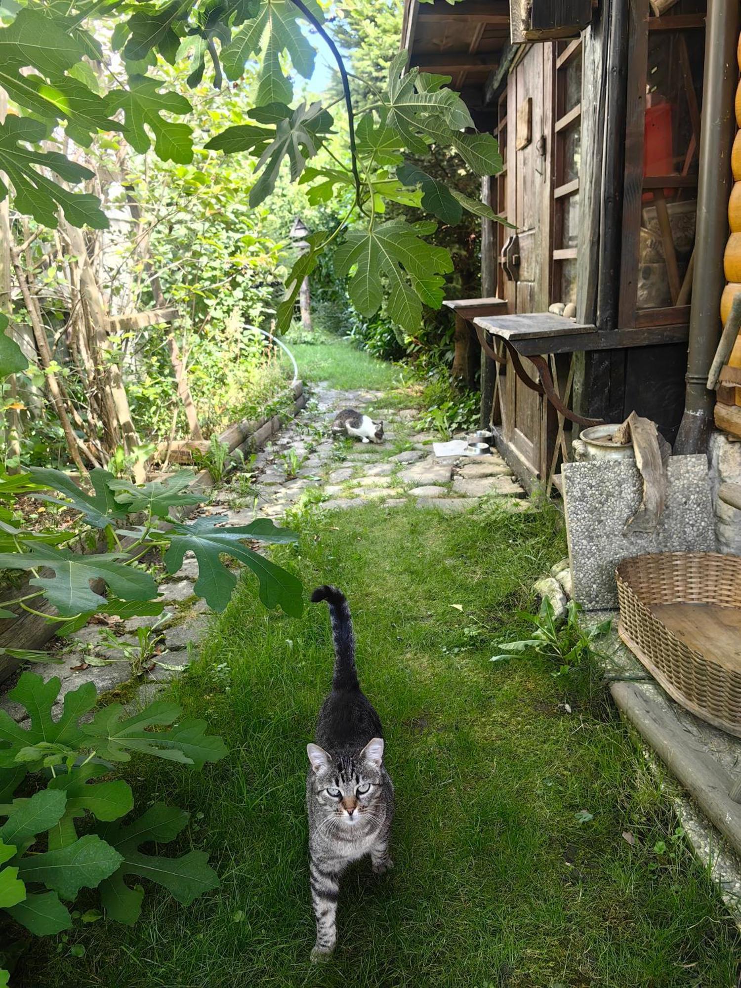 Hisa Hortenzija Luče Exteriér fotografie