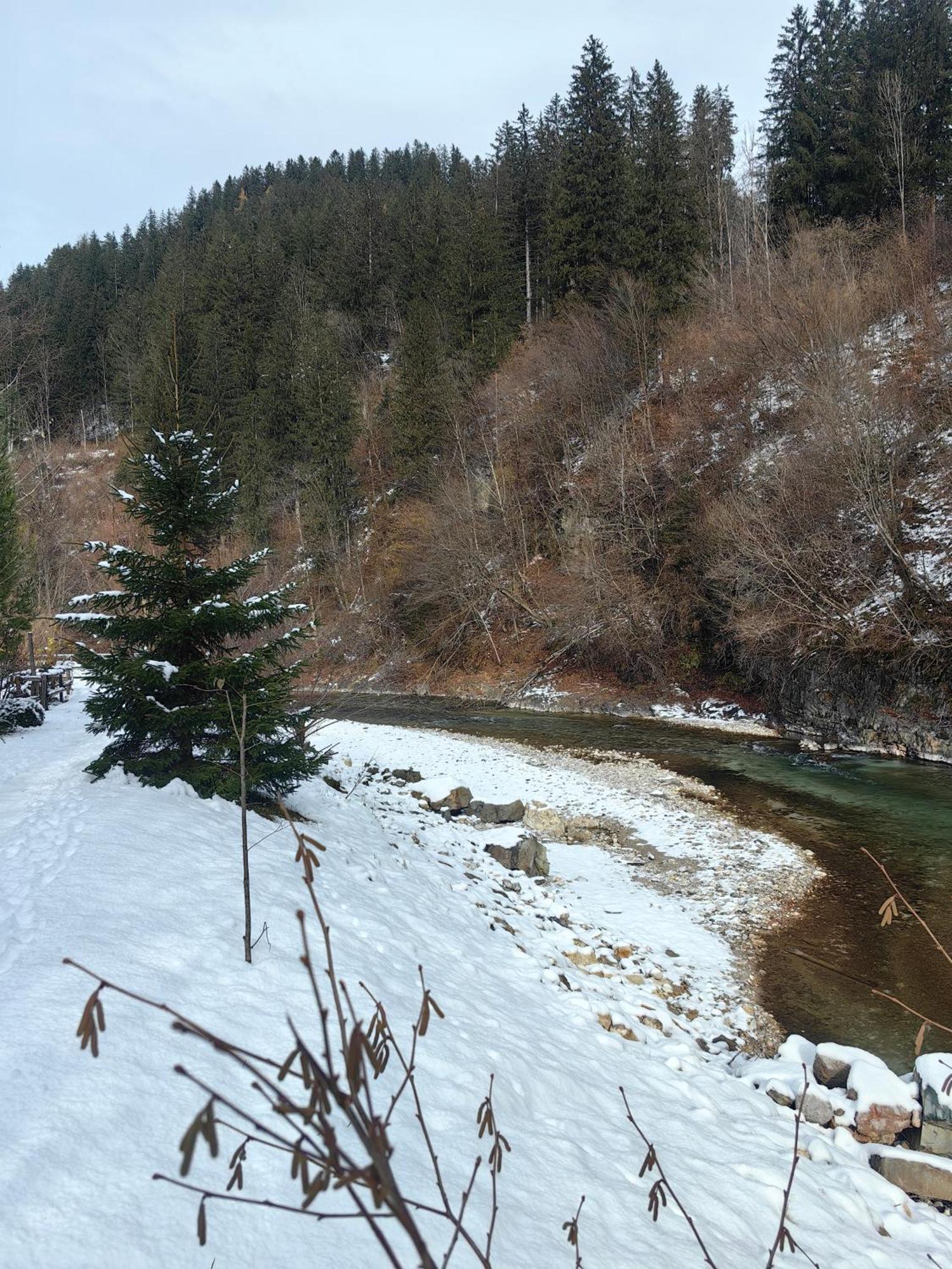 Hisa Hortenzija Luče Exteriér fotografie